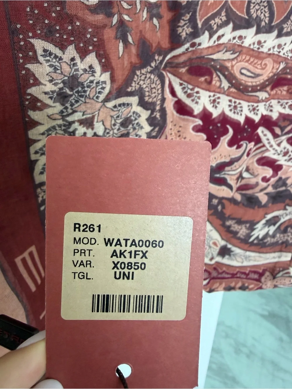 Etro Paisley Scarf